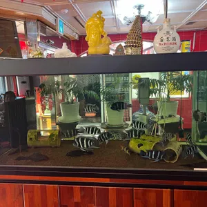 중화루 리뷰 사진