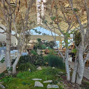 시드누아 리뷰 사진