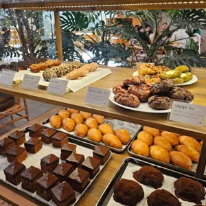 시드누아 리뷰 사진