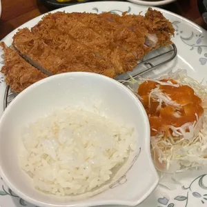 압구정 하루 사진