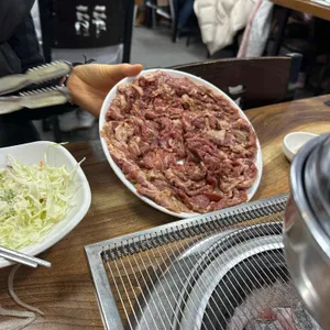 부산갈매기 사진