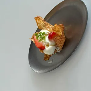 디기티 대표 사진