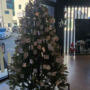 이프커피 리뷰 사진