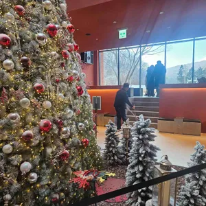 스코그 리뷰 사진