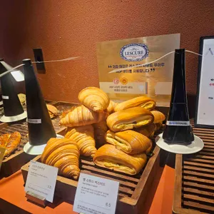 스코그 리뷰 사진