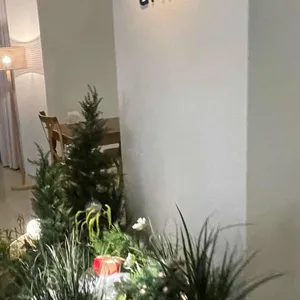 아르모 리뷰 사진