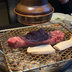 오발탄 리뷰 사진