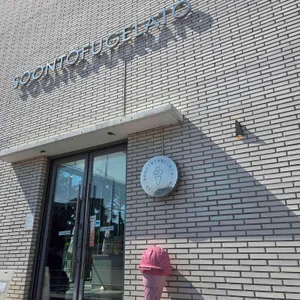 순두부젤라또 대표 사진