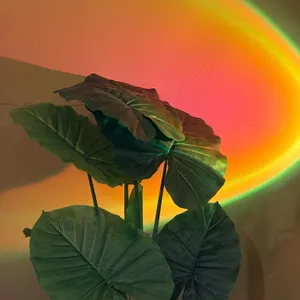 더페어 리뷰 사진