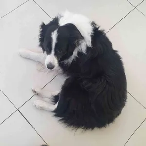 카페 모던 리뷰 사진