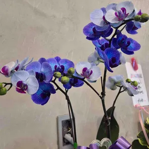 바르비종과자점 리뷰 사진