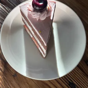 오가닉 모가 리뷰 사진