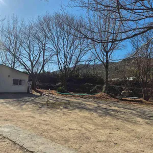 장안본가 리뷰 사진