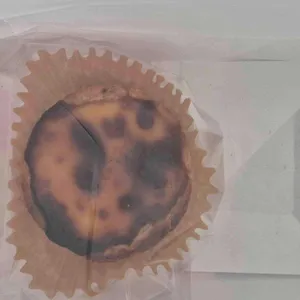 하니바람 사진 2