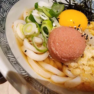 우동키노야 대표 사진