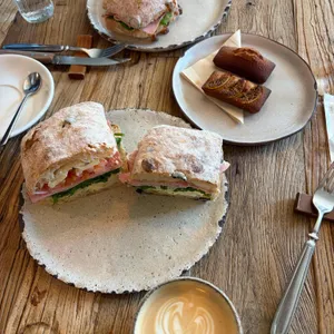 몬탁 대표 사진