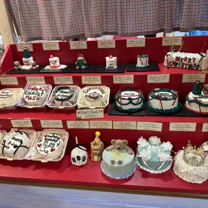 터틀힙 리뷰 사진