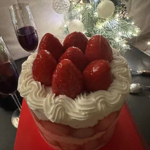 터틀힙 리뷰 사진