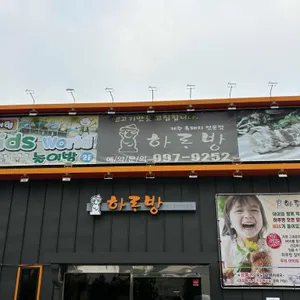 하루방 리뷰 사진