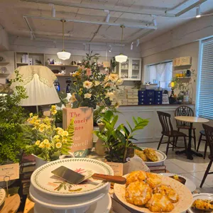 옐로스콘 대표 사진