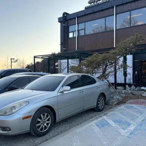 아리랑 도원 리뷰 사진