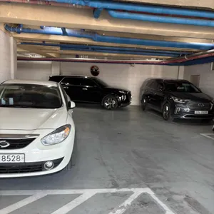 묘향만두 리뷰 사진