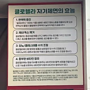 교동 닭칼국수 리뷰 사진