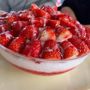 빙수프로젝트 리뷰 사진