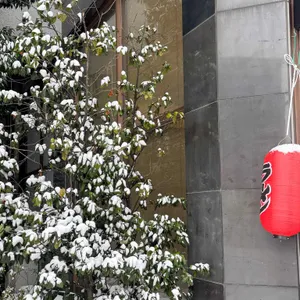 유부자 리뷰 사진