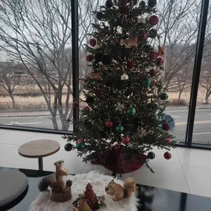 어노렌지 리뷰 사진