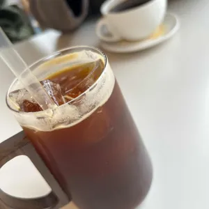 앵무새카페 버드앓이 리뷰 사진