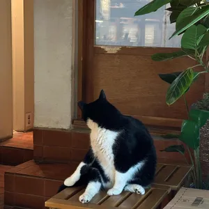 다이브인브레드 리뷰 사진