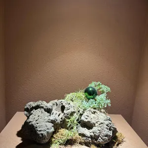 오퍼 카페 리뷰 사진