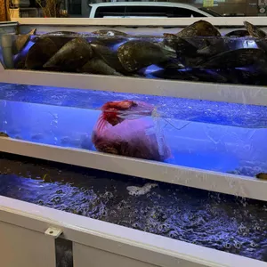 오아시스조개 리뷰 사진