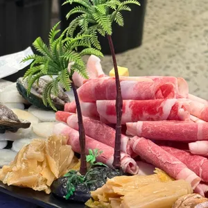 오아시스조개 사진