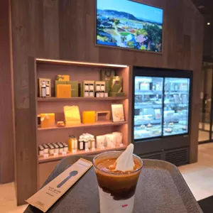 폴 바셋 리뷰 사진