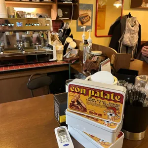 콘파타테 리뷰 사진