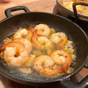 트라가 대표 사진