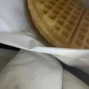 와플대학 리뷰 사진