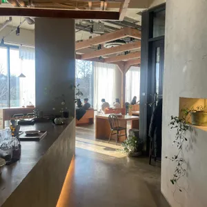 오버스토리 리뷰 사진