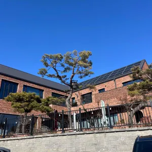 파스쿠찌 사진 2