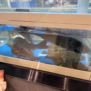 오가닉메이커 봄여름가을겨울 사진