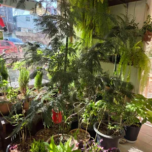 선베이크드 대표 사진