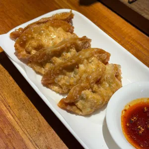 거북이의 꿈 사진