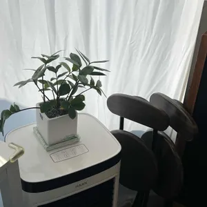 포케담다 리뷰 사진