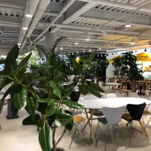 어로프헤븐 리뷰 사진