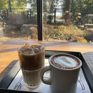 첼로네시아 사진