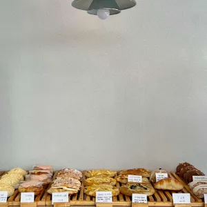 단델리온 리뷰 사진