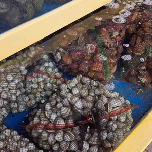 고집통문어칼국수 리뷰 사진