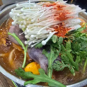 느릅나무 사진 1